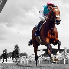 Frankel