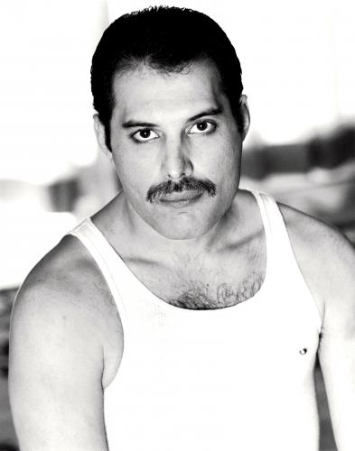 Freddie