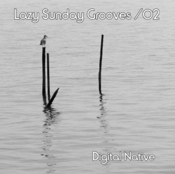 Lazy Sunday Grooves 02