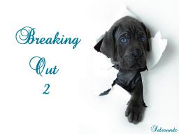 Breaking Out 2