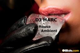 House-Ambient (2011-11-18)