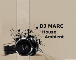 House-Ambient (2011-11-17)