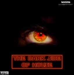 THE DARK SIDE OF HOUSE