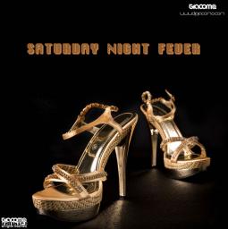 SATURDAY NIGHT FEVER