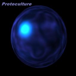 Protoculture