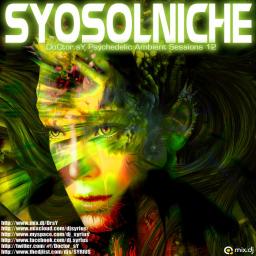 SYOSOLNICHE