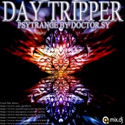 DAY TRIPPER