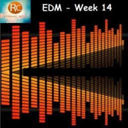 EDM - Week 14