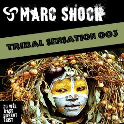 Tribal Sensation 003