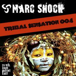 Tribal Sensation 004