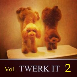 &quot;TWERK IT&quot; - VOL.2 - [.BoogZ.Got.That.Bounce.]