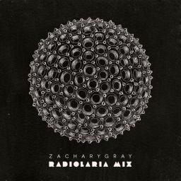 Radiolandia Mix