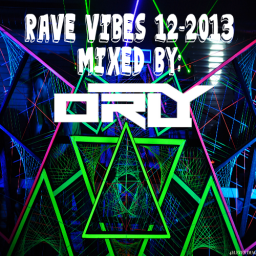 Rave Vibes 12-13