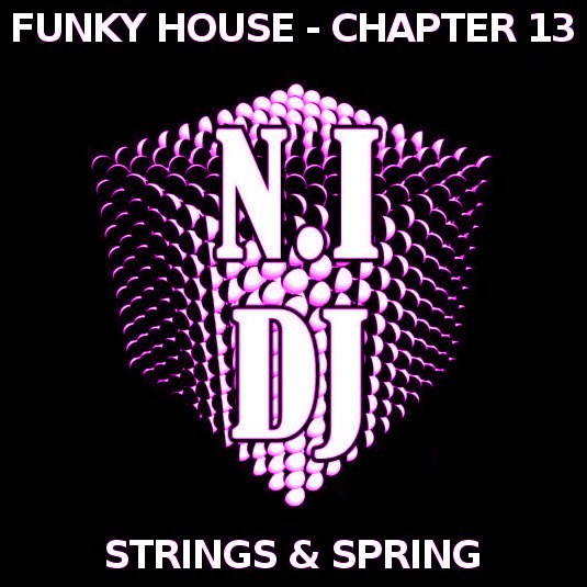 STRINGS &amp; SPRING 2009 by N.I DJ