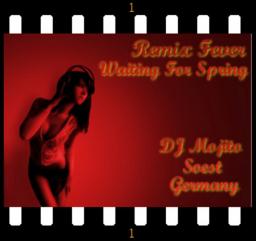 Remix Fever - Waiting For Spring