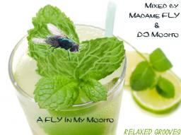 A FLY In My Mojito