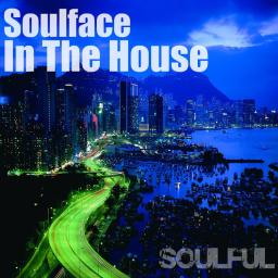 Soulface In The House Soulful Vol2