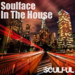 Soulface In The House - Soulful Vol33