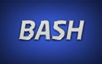 Bash Vol 1.