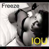 FREEZE-IOU (Funky Soul Makossa Deep House Remix by FREDGARDE