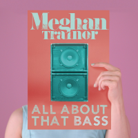 Meghan Trainor - All About That Bass [electro remix]