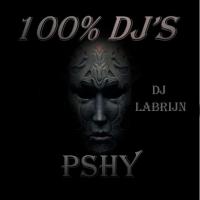 Dj Labrijn - Pshy