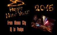 Happy New Year From Vienna City