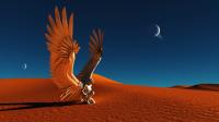 Desert Wings