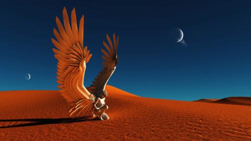 Desert Wings