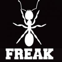 FREAK OPENING 2015 DOWNBEAT