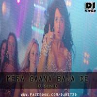 Hey Bro - Mera Gaana Baja De Remix DJ Ritz D