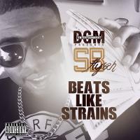 SBflyah &quot;Beats Like Strains&quot;