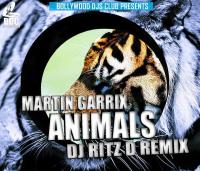 MARTIN GARRIX - ANIMALS - (DJ Ritz D) EDIT