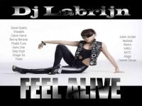 Dj Labrijn - Feel Alive