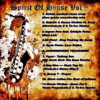 Spirit Of House Vol 8