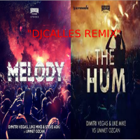 DjCalles Remix- The Melody- Dimitri Vegas, Like Mike, Ummet Ozcan &amp; Steve Aoki