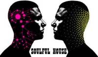 SOULFUL HOUSE-FUNKY