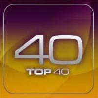 DJ MIKEY MIKE PRESENTS TOP 40