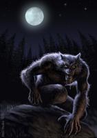 Night-of-the-Werewolves