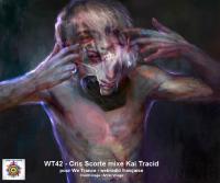 WT42 - Cris Scorte mixe Kai Tracid