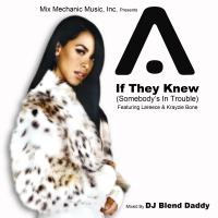 Aaliyah Feat. Lareece &amp; Krayzie Bone - If They Knew (Somebody&#039;s in Trouble Mash-Up)