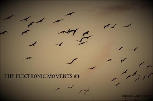 THE ELECTRONIC MOMENTS #3