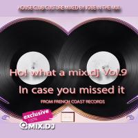 Ho! what a mix.dj Vol.9