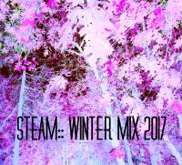 STEAM: WINTER MIX 2017