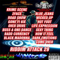 Streetvibes Production Riddim Attack vol 29