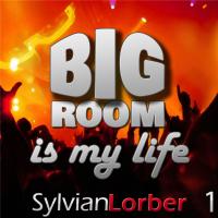 Big Room Is My Life #1