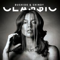 Bushido &amp; Shindy - Rap Leben (Dj Q Remix)