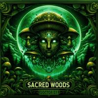 SACRED WOODS (Lose Yourself Sessions) 2024