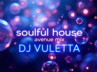 SOULFUL HOUSE AVENUE Vol.1