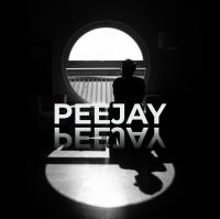 Robot OP.Peejay » Coordenada Platform